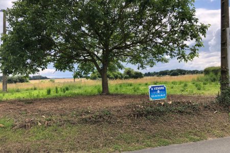 a66b88312f3da8962a3f195f81721e2c